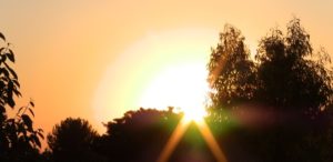 coronavirus - COVID-19 article